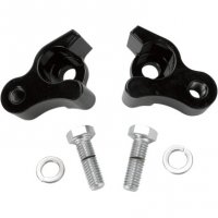 Lowering Kit Rear -1\" Black FLH 09-16