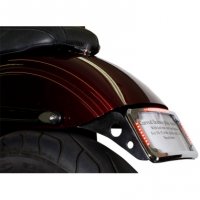 LICENSE PLATE FRAME CURVED WITH SIGNALS & MOUNT - CYCLE VISIONS