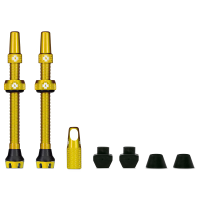 TUBELESS VALVE STEM - GOLD