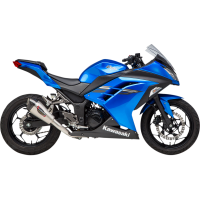 Race Alpha T (Works Finish) Full System for Kawasaki Ninja 300 13-17
