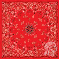 Bandana B003 Red Paisley