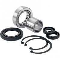 Inner Primary Mainshaft Bearing/Seal Kit 89-06 B/T