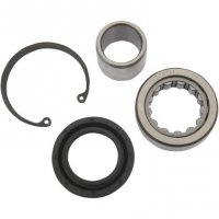 Inner Primary Mainshaft Bearing/Seal Kit 08-15 B/T