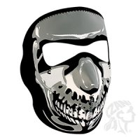 Face Mask Chrome Skull