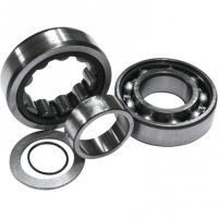 Outer Cam Bearing Kit HD 99-06