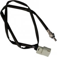 Oxygen Sensor Narrow Band Grey 12mm