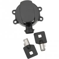 Ignition Switch Gloss Black Side Hinge FB/T 11-20