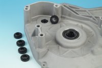 Oil Seal, Starter Shaft, Double Lip