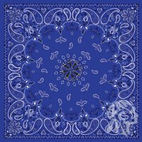 Bandana B002 Navy Paisley